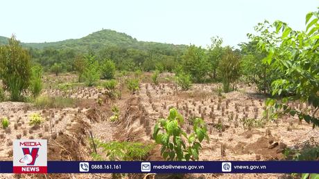 Hạn hán diễn ra phức tạp ở nhiều địa phương