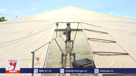 Ứng phó thiên tai để duy trì tăng trưởng nông nghiệp