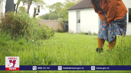 Chiến dịch “tháng năm không cắt cỏ” tại Anh