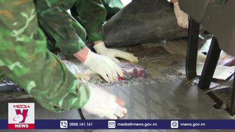 Hà Tĩnh bắt nhóm đối tượng vận chuyển 121kg ma tuý tổng hợp