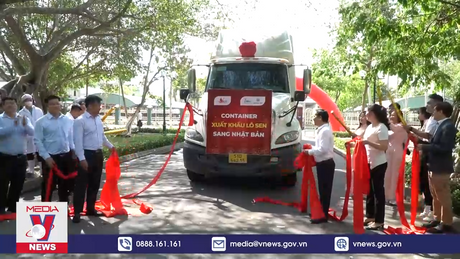 Lần đầu tiên Đồng Tháp xuất khẩu củ sen sang Nhật Bản