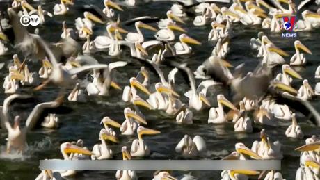 Tạp chí toàn cầu số 930 ngày 08/5/2024