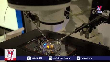 Bản tin thời sự 18h ngày 08/5/2024