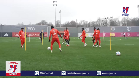 Bản tin thời sự 11h ngày 08/5/2024