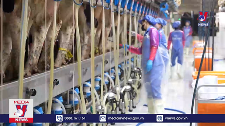 Bản tin thời sự 20h ngày 08/5/2024