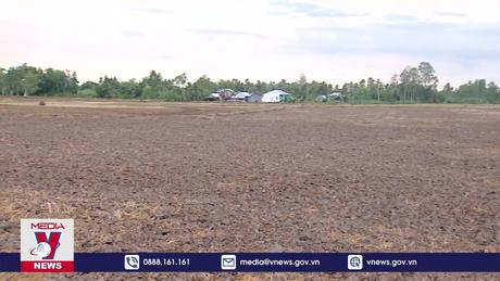 Sóc Trăng tạm hoãn gieo sạ lúa Hè Thu do hạn mặn