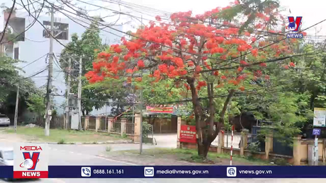 Bản tin thời sự 21h ngày 08/5/2024