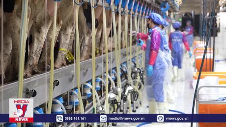 Thương hiệu làm thay đổi bản chất ngành sữa Việt