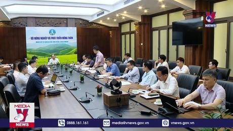 Bản tin thời sự 13h ngày 08/5/2024
