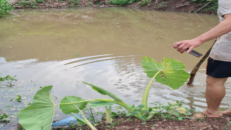Vụ đuối nước thương tâm: 03 ông cháu cùng tử vong ở hố nước gần nhà 