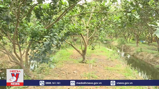 Doanh nghiệp, nông dân 