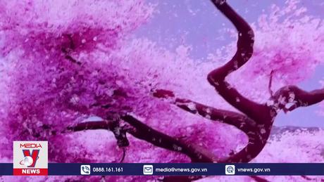 Ấn tượng sự hòa quyện giữa công nghệ và nghệ thuật