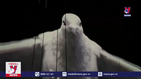 Bản tin thời sự 11h ngày 10/5/2024