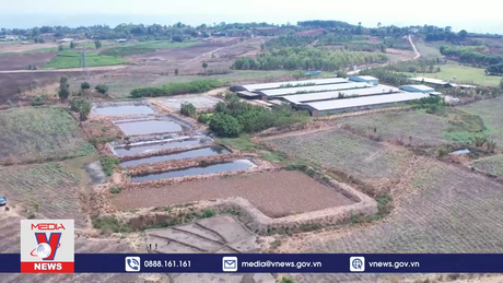 Chư Sê sẽ xử lý trang trại chăn nuôi gây ô nhiễm