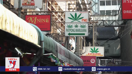 Thái Lan đưa cần sa trở lại danh sách các chất ma túy