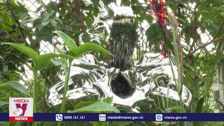 Triển lãm các tác phẩm nghệ thuật lấy ý tưởng từ thiên nhiên