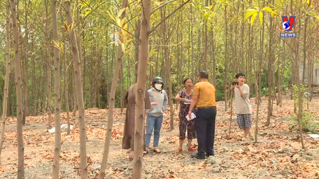 Hộp thư VNews: Đồng Nai - Án dân sự 22 năm chưa có hồi kết?