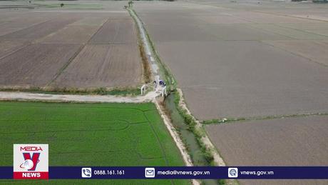 Không gieo sạ lúa để phản đối giá tưới tiêu nước quá cao