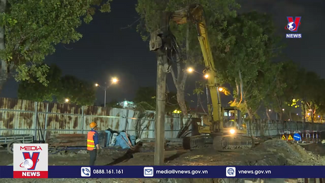 Bản tin thời sự 11h ngày 11/5/2024