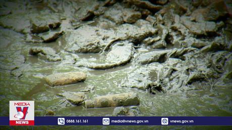 Còn nhiều nguy cơ ô nhiễm quanh bãi rác Nam Sơn