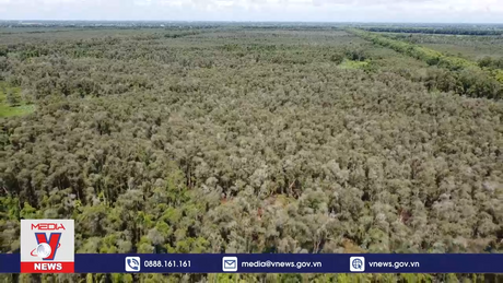 Đồng Tháp chủ động phòng, chống cháy rừng