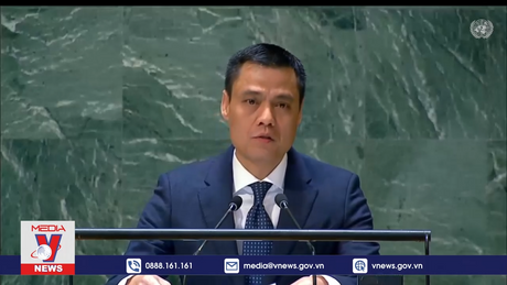 Việt Nam ủng hộ nghị quyết Đại hội đồng LHQ về Palestine