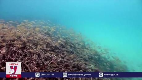 Đề xuất tái thu phí tham quan, du lịch vịnh Nha Trang