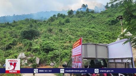 Khống chế kịp thời vụ cháy rừng gần khu du lịch tại Đà Nẵng