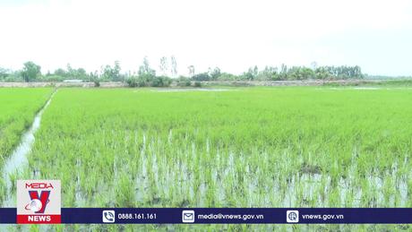 Sớm xác định nguồn gây nhiễm mặn ven khu vực thi công cao tốc