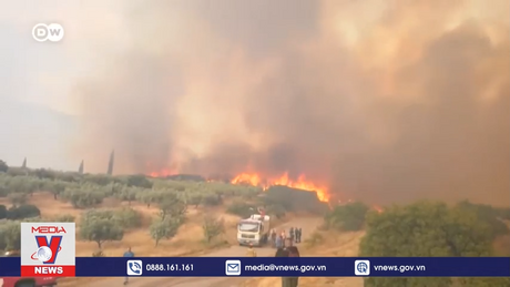 Châu Âu tăng cường năng lực phòng chống cháy rừng