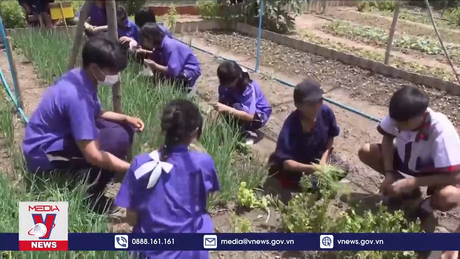 Gia đình – ‘hạt nhân’ chống biến đổi khí hậu