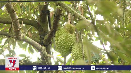 Hệ lụy từ phát triển nóng 