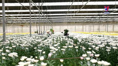 Nhật trình kinh tế ngày 17/5/2024