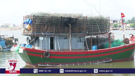 Gần 800 tàu cá Quảng Bình mất kết nối thiết bị giám sát hành trình