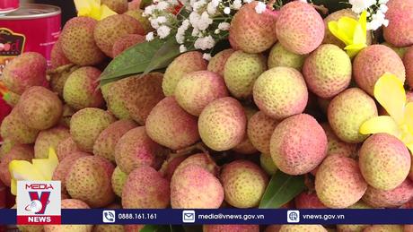 Xuất khẩu 2,5 tấn vải thiều sớm sang thị trường Trung Đông
