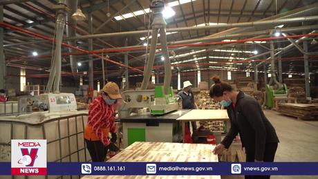 Xuất khẩu gỗ tăng trưởng mạnh