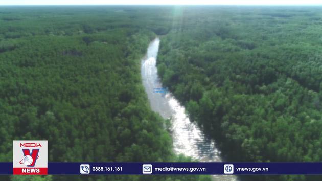 Tiêu điểm kinh tế: Cơ hội mới cho thị trường carbon