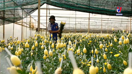 Nhật trình kinh tế ngày 20/5/2024