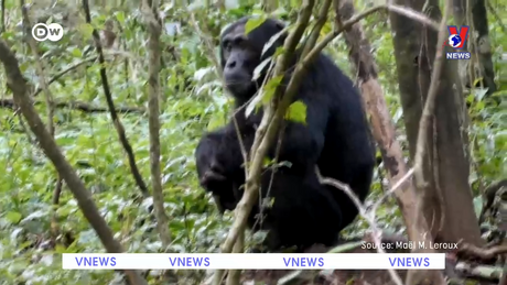 Tạp chí toàn cầu số 943 ngày 20/5/2024