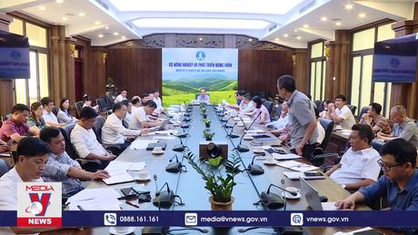 Tất cả tàu khai thác cá phải đảm bảo hợp pháp