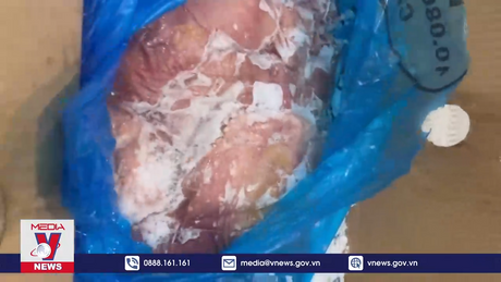 Phát hiện 11,9 tấn thực phẩm đông lạnh nhập lậu