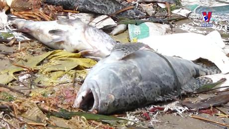 Nhật trình kinh tế ngày 21/5/2024