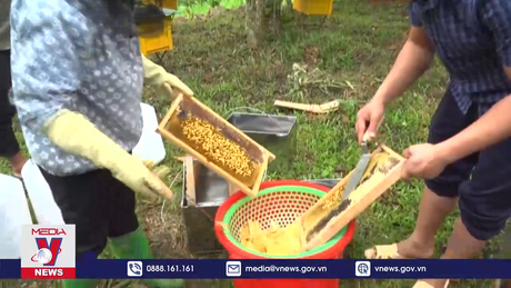 Hòa Bình đưa sản phẩm OCOP trở thành thương hiệu phát triển bền vững