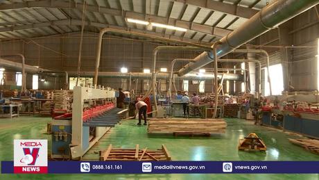 Giám sát an toàn lao động trên công trường, nhà máy