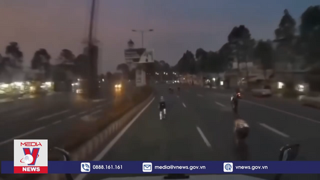 Xác minh làm rõ nhóm người đi xe đạp lấn làn xe ôtô