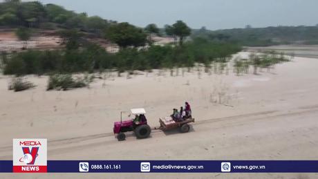 Rừng Amazon chật vật phục hồi sau hạn hán