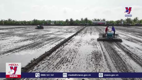 Xuống giống mô hình thí điểm sản xuất lúa Đề án 1 triệu ha