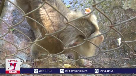 Vườn quốc gia - Cái nôi bảo tồn đa dạng sinh học