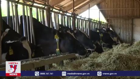 Mỹ phát hiện ca mắc cúm gia cầm thứ 2 ở người