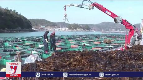 Phát hiện hành vi ngược đãi người lao động nước ngoài tại Hàn Quốc